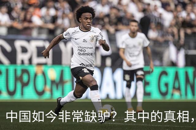 中国如今非常缺驴？其中的真相，比你想象的还要荒诞得多