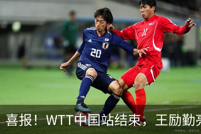 喜报！WTT中国站结束，王励勤亮明关键立场，樊振东回归现曙光