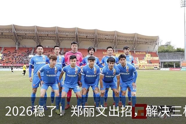 2026稳了！郑丽文出招，解决三根搅屎棍：侯友宜、卢秀燕、赵少康